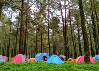 5 Jenis Wisata yang Bisa Dikembangkan di Desa