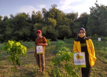 Menantikan Agrowisata Kebun Buah Desa Cengungklung Bojonegoro