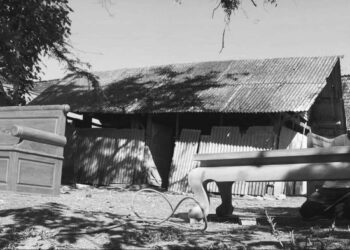 Senjata Pengusaha itu Bernama sikap Telaten dan Istiqomah