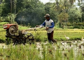Peran Besar Petani: Sejarah Kolonialisme hingga Potensi Konflik