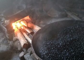 Kajian Historis Kopi Indonesia dan Tren Budaya Coffee Shop di Sekitar Kita