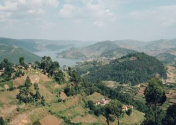 Hikayat Perampasan Lahan di Masa Pandemi