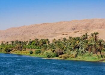 Memorabilia tentang Tole, Dukuh T, dan Bengawan Solo