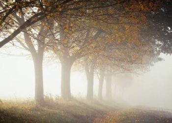 Ngopi Mistis Di Tengah Gerimis