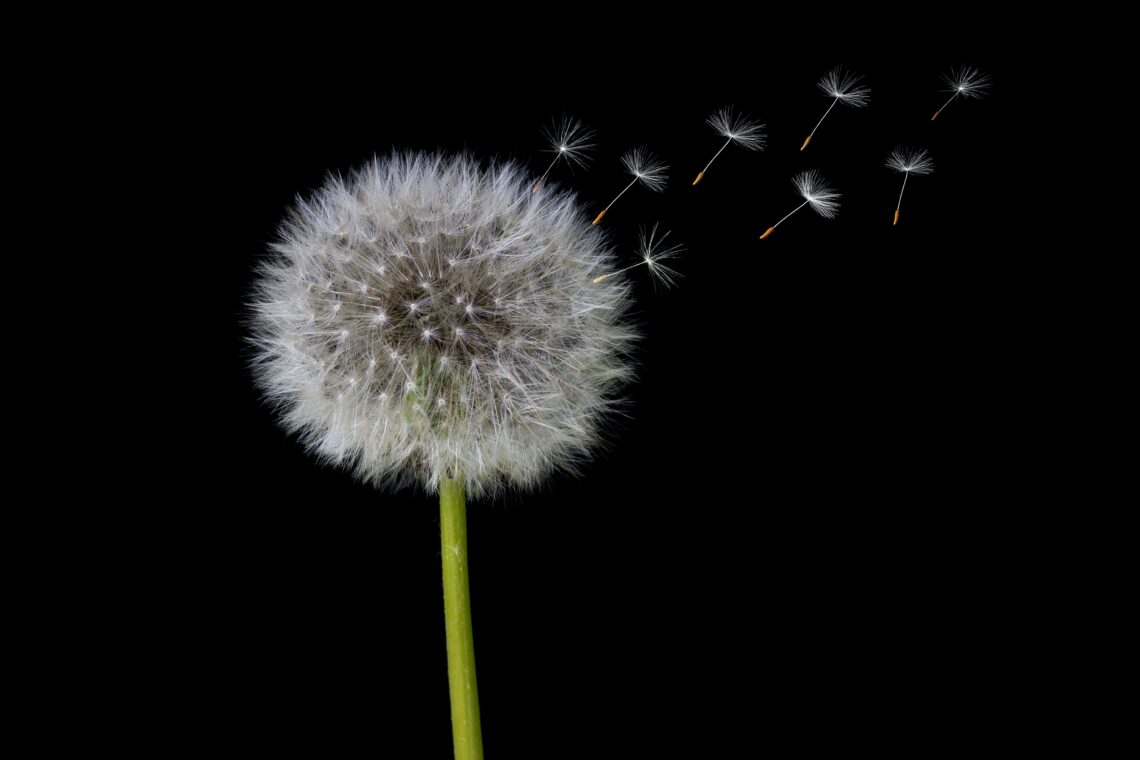Bukan Sebuah Motivasi: Pledoi untuk Kamu dan Diri Sendiri