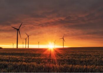 Dua Proyek Penelitian Baru Terkait Transisi Energi dan Mitigasi Penggunaan Lahan di Indonesia