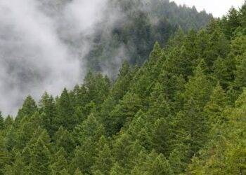 Perda RTRW Baru, Pinarak Bojonegoro untuk Siapa?