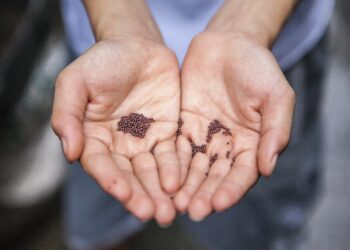 Filosofi Biji dan Konsep Dedikasi dalam Pandangan Sekolah Guratjaga