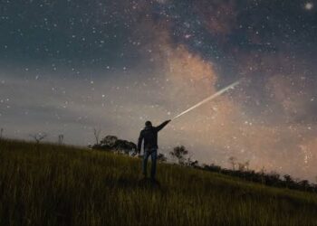 Mawar Hitam dan Sebuah Surat untuk Syehrazad