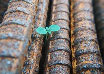 Vaksinasi Rasa Syukur dan Kesembuhan Manusia atas Rasa Takut