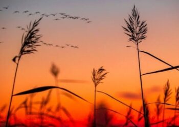 Hidup dan Perubahan yang Absurd