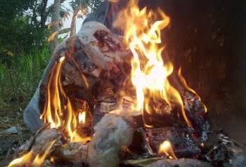 Duet Maut Sampah Plastik dan Si Jago Merah, Jadi Apa?