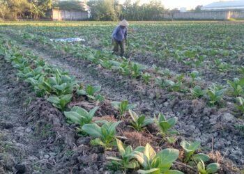 Andai Saya Jadi Kepala Madrasah Alternatif Guratjaga