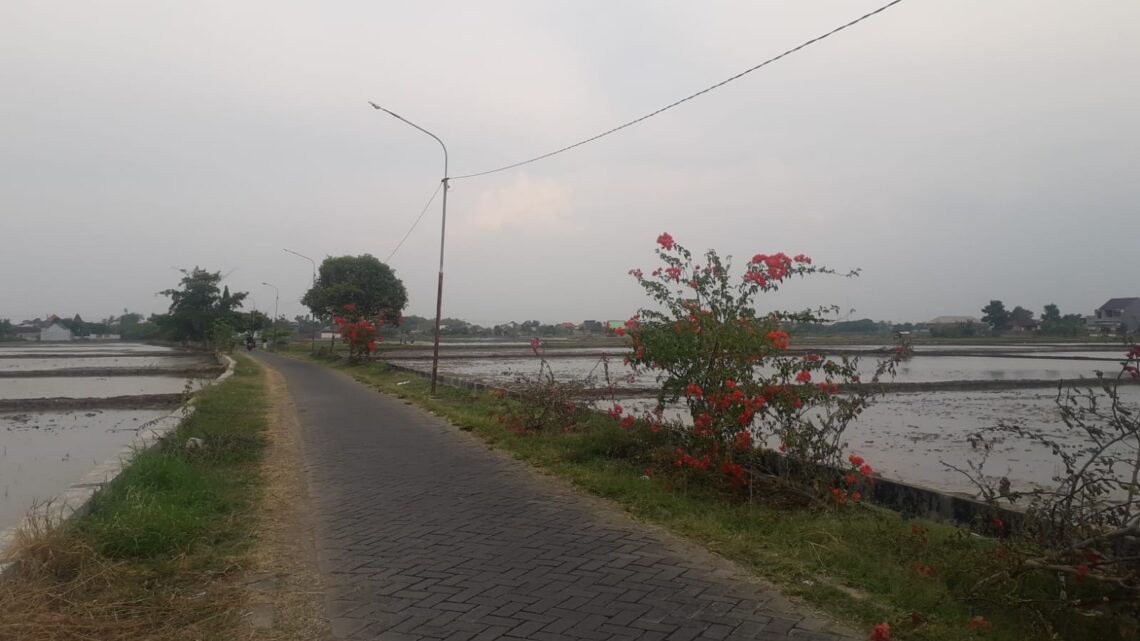 Kearifan Lokal: Kisah dari Pohagung dan Dekonstruksi Pendidikan