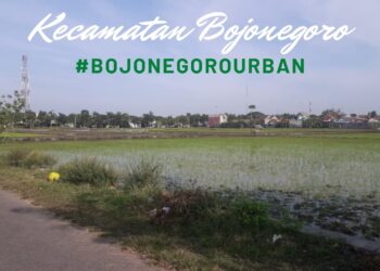 Bojonegoro Urban: Kronik Perjuangan Santri, Pemuda, dan Pahlawan