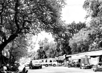 Kami Hanya Ingin Pasar, Bukan Taman