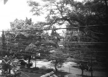 Ketika Daun Gugur di Antapani Bernyanyi