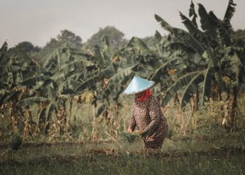 Desa Wisata, Sebuah Peluang dan Harapan Bagi Bojonegoro