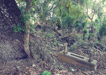 Syekh Syahid Kembangan, Jejaring Ulama Padangan