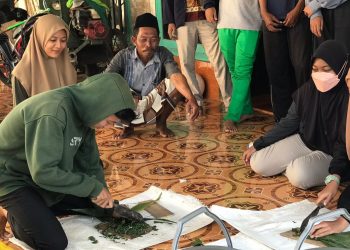Pemanfaatan Limbah Jadi Pupuk Kompos Ala Mahasiswa Trunojoyo Madura
