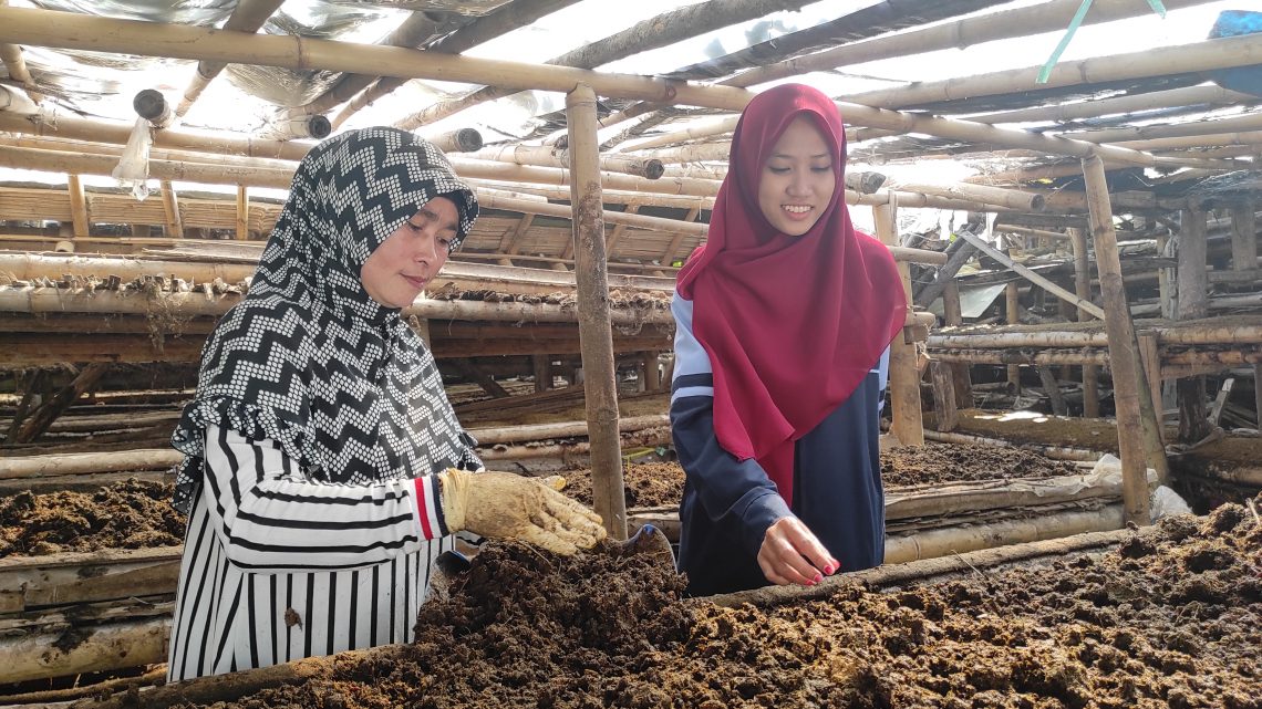 Di Kertawangi Cisarua, Warga Mampu Budidaya Cacing untuk Dijadikan Kompos Vermiksasi