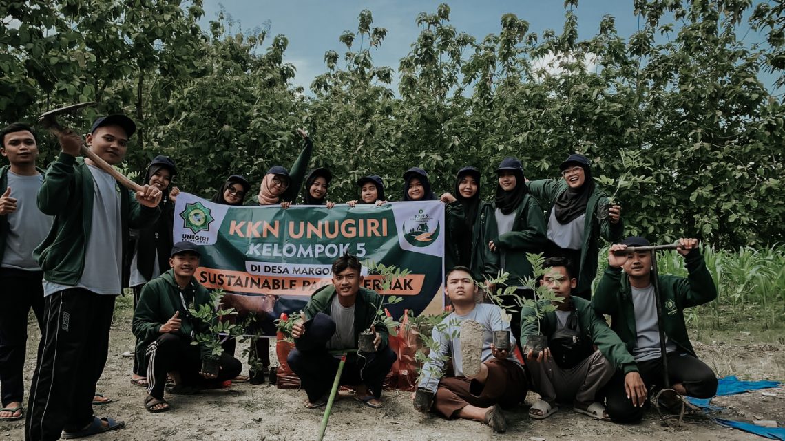 Saat Mahasiswa Kembangkan Sustainable Indigofera Untuk Pakan Ternak