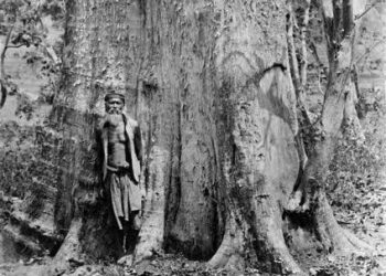 Sungai dan Hutan, Aset Utama Bojonegoro Selain Minyak