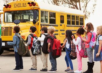 Menanam Pohon Bukan Satu-satunya Solusi Atasi Krisis Iklim