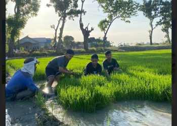 Menjadi Generasi Muda yang Tak Takut Bertani