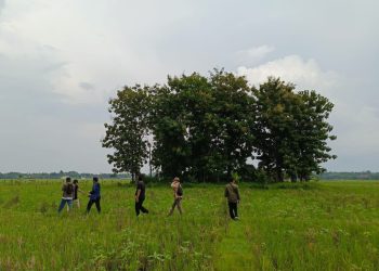 Mesigit Jipang, Punjer Islam Era Majapahit