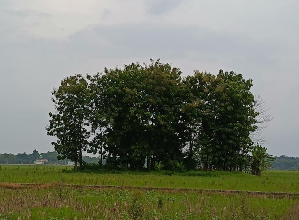 Hitam-Merah, Dwibayang Islam di Wilayah Jipang