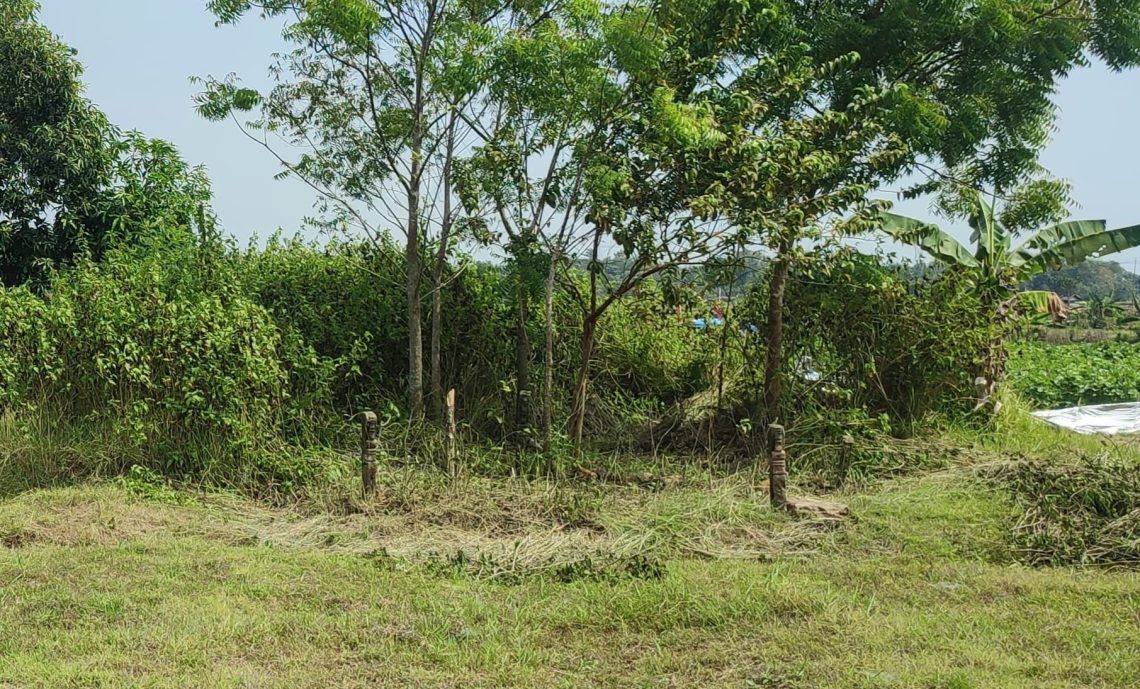 Makam Mbah Menden, Peradaban Islam Blora Selatan