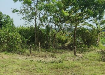 Makam Mbah Menden, Peradaban Islam Blora Selatan