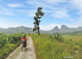 Tour de Bojonegoro, Pengembangan Wisata ala Setyo Wahono
