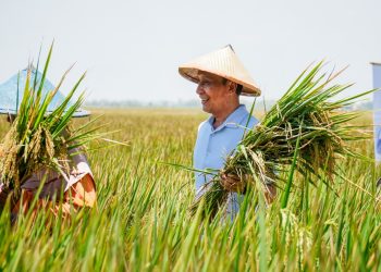 Pasangan WaNur Bakal Beri Asuransi bagi Petani Gagal Panen