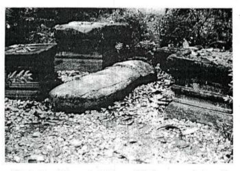 Paradigma Cultural History