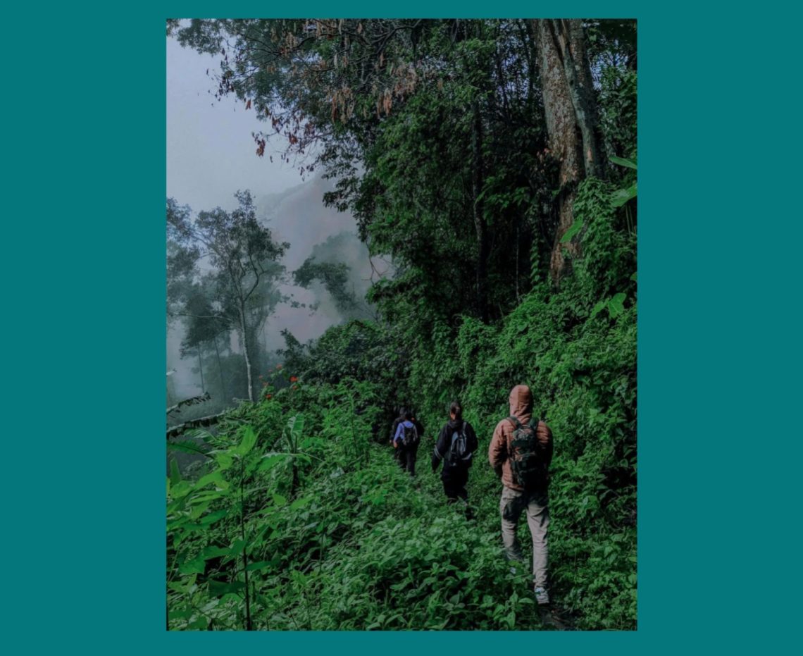 Gunung Pandan Bojonegoro: Destinasi Pendakian Populer Sejak 1939 M