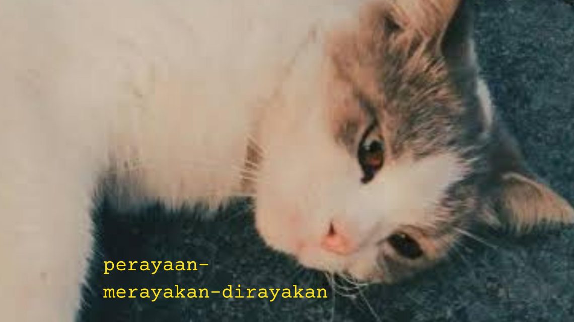 Beruntungnya Dilahirkan Di Bumi Penuh Perayaan