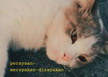 Beruntungnya Dilahirkan Di Bumi Penuh Perayaan