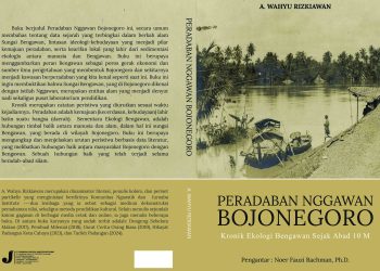 Peradaban Nggawan Bojonegoro, Kronik Ekologi Bengawan Sejak Abad 10 M