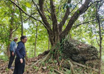 Suluk Ekologi: Ekspedisi dan Berdiskusi