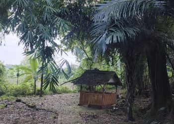 Kiai Nur Ngali Pagerwesi, Jejak Kebesaran Islam Bengawan