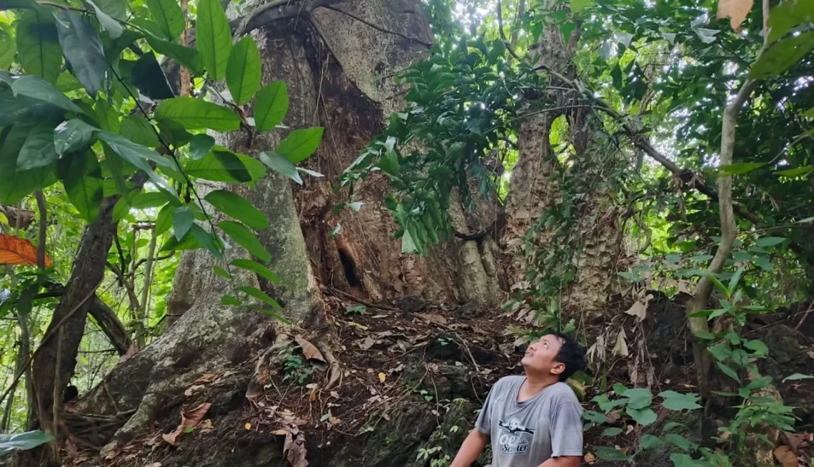 Batuan Karst: Pilar Ekologi Lembah Kendeng