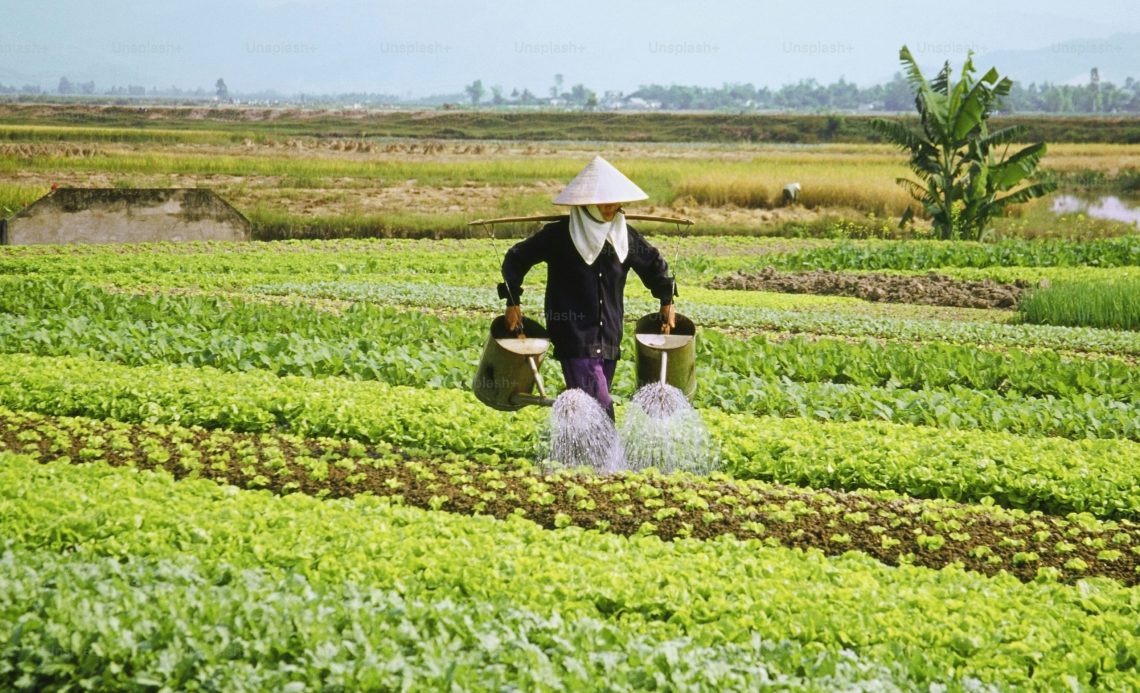 Hari Tani, Enam Dekade Janji