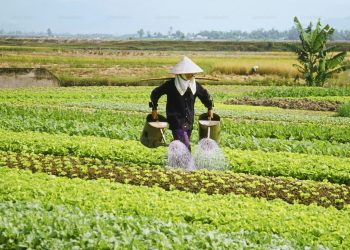 Hari Tani, Enam Dekade Janji