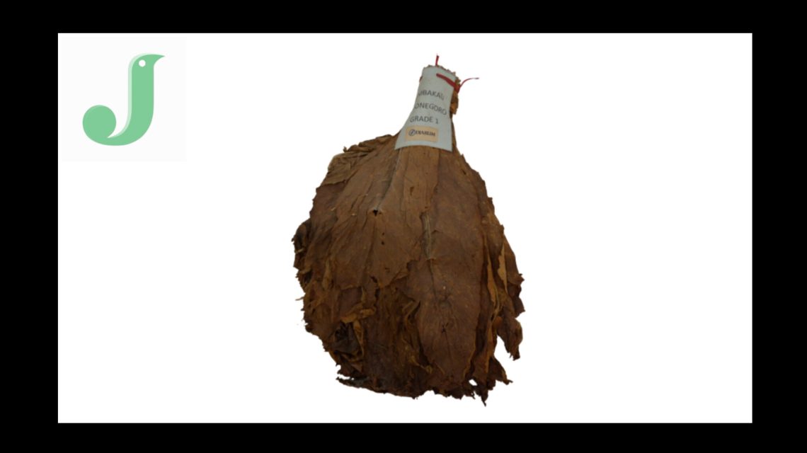 Mbako Bojonegoro, Berkah Alam selain Minyak Bumi