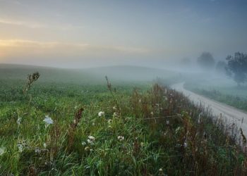 Roso di Tengah Dunia yang Kehilangan Rasa