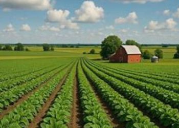 Mozaik Pangan dan Bayangan Amerika