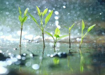 Air Hujan Mau Mampir, Tapi Siapa Pula yang Menyediakan Kursi?