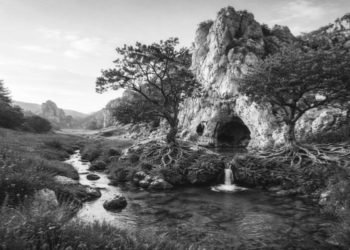 ‎Wiku: Entitas Sosial Jawa Sebelum Era Hindu–Budha